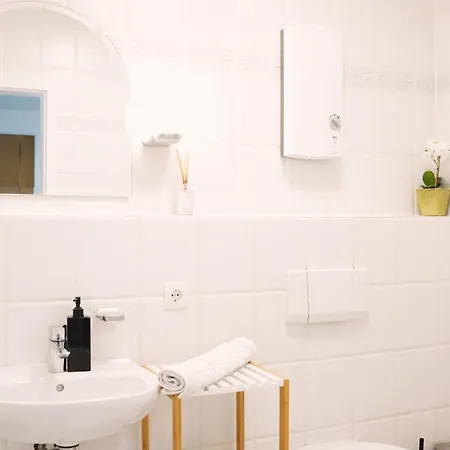 Mit Balkon, Küche&waschmaschine An Der Whu Apartment Vallendar