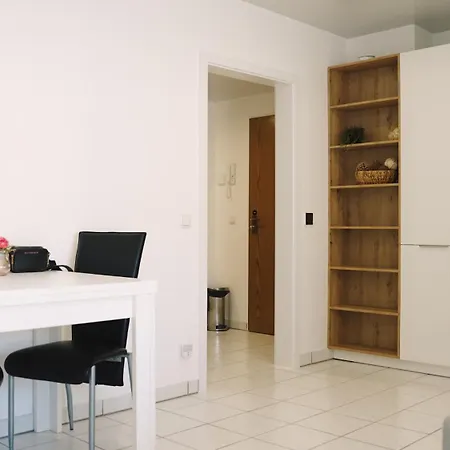 Mit Balkon, Kueche & Waschmaschine An Der Whu * Vallendar